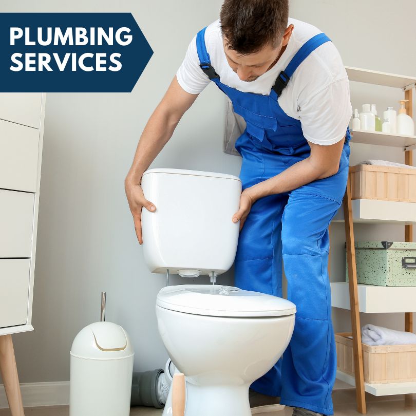 Plumbing Company in Mcclure, IL